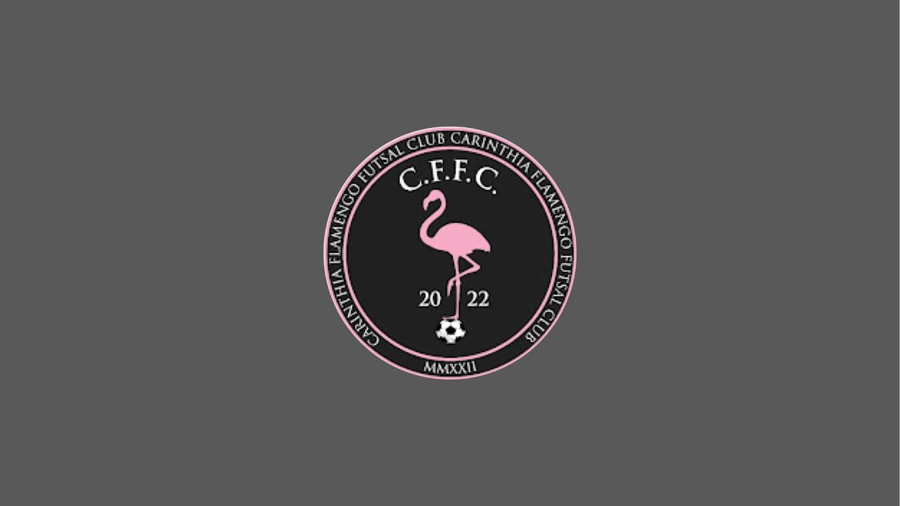 Carinthia Flamengo Futsal Club vs 1. FSV Wels