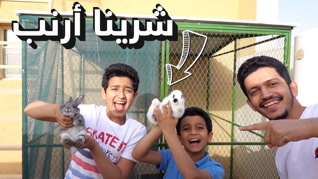 رحلة البحث عن مزرعة🌴