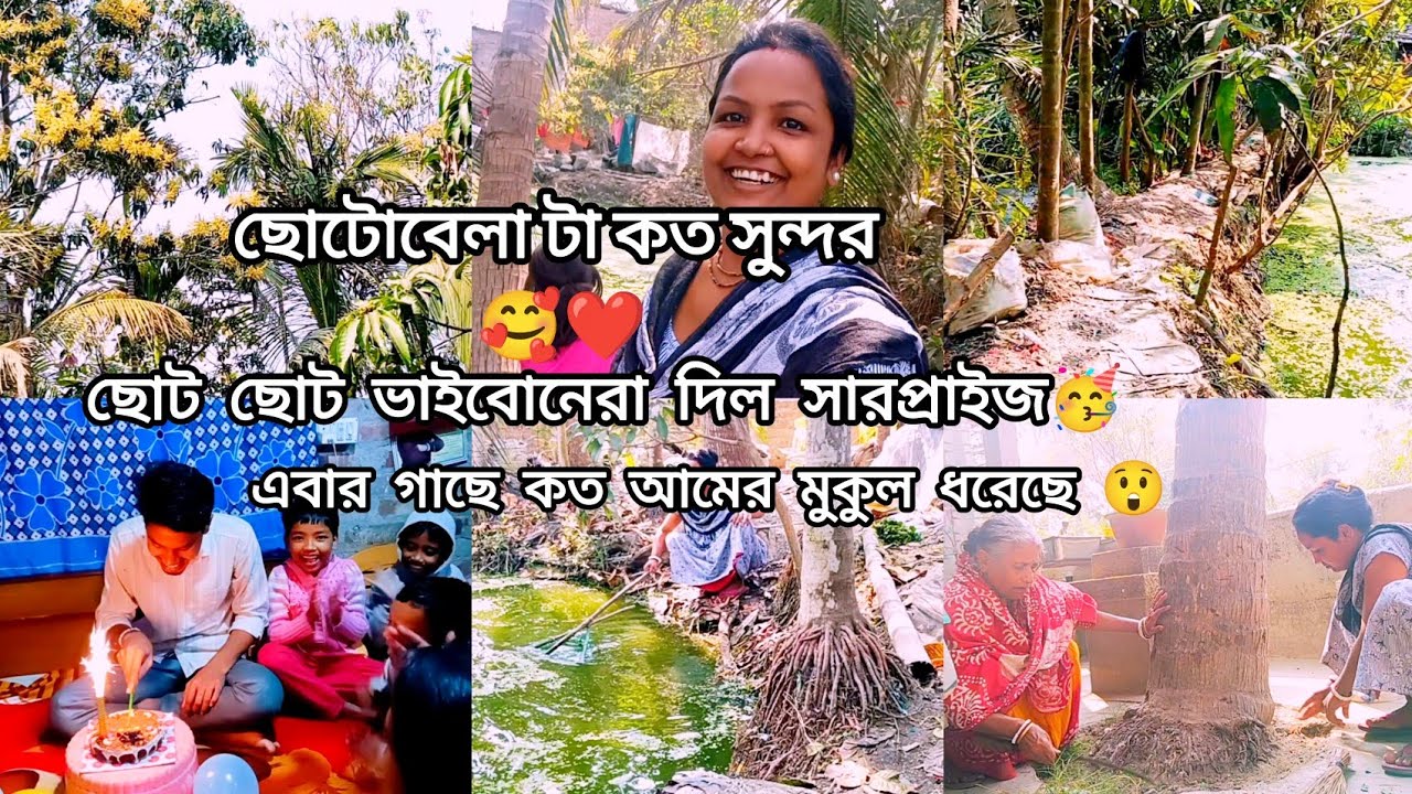 সংসারের কাজের ফাঁকে চেষ্টা করি একটু বরের পাশে দাঁড়ানোর 😊🤗 #dailyvlog 