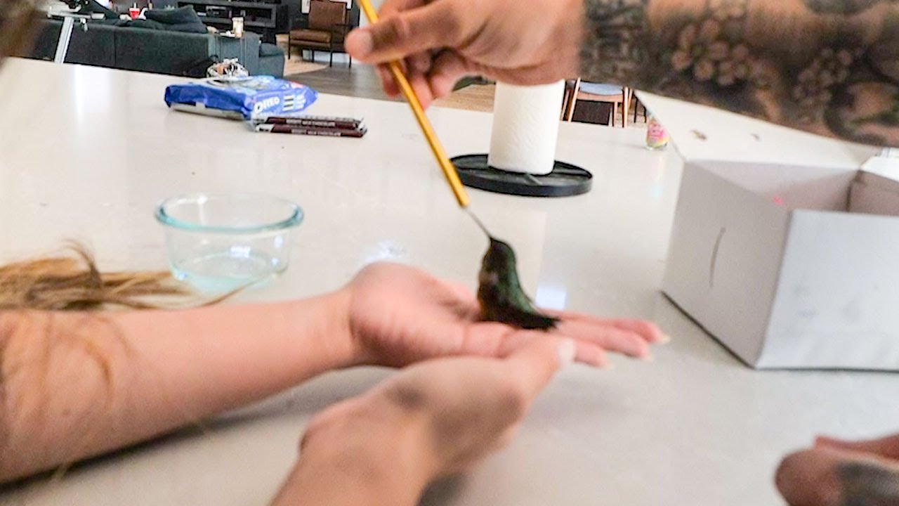 Saving An Injured Humming Bird