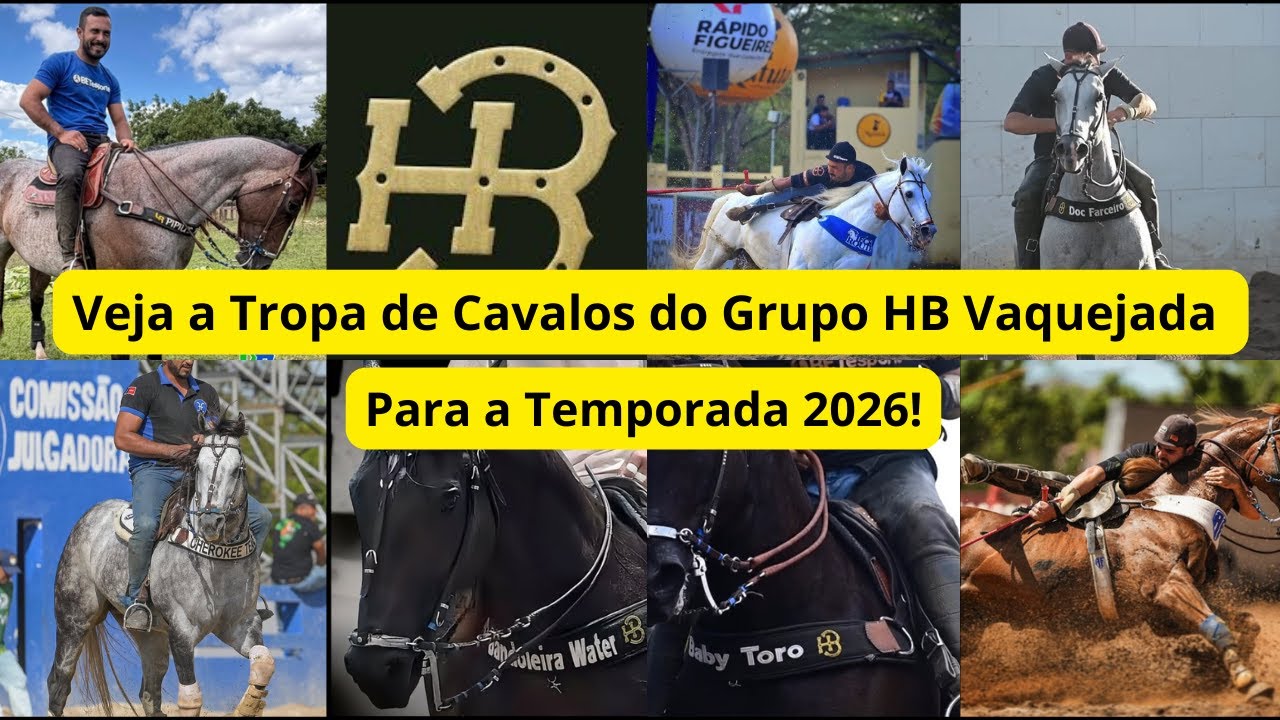 Conheça os Cavalos de Puxar do Grupo HB Vaquejada para 2026 | Elenco Completo e Novas Contratações