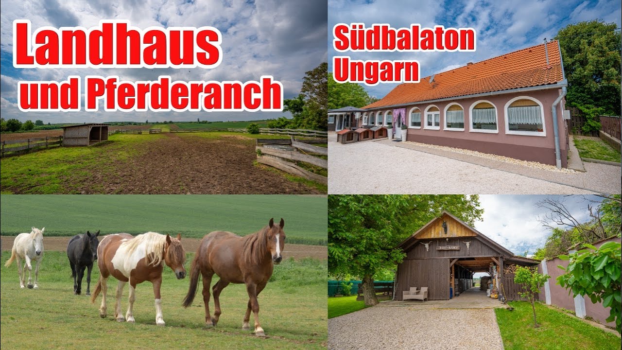 LANDHAUS zur PFERDEHALTUNG in UNGARN SÜDBALATON