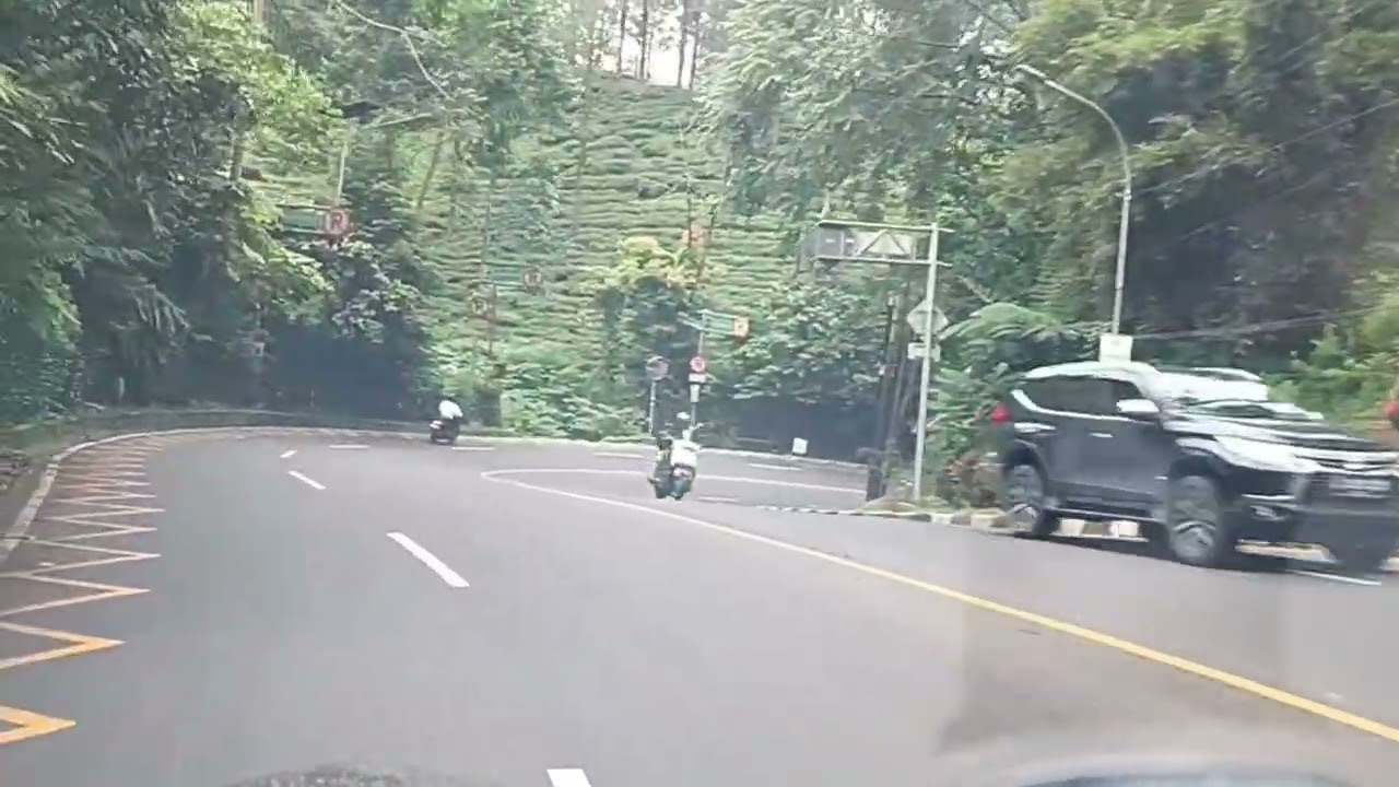 KABUTNYA TEBAL SEKALI...KREEN.....