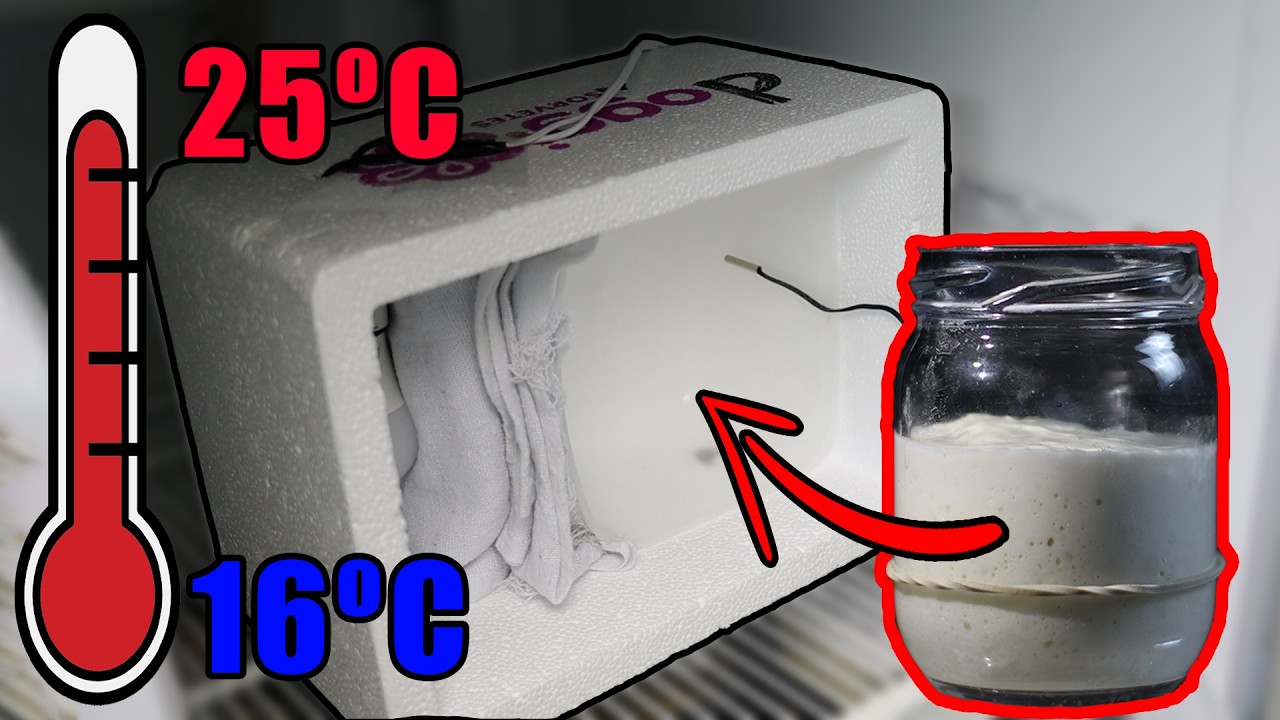 Como Fazer uma Fermentadora que Esfria: Perfeita para Fermento Natural