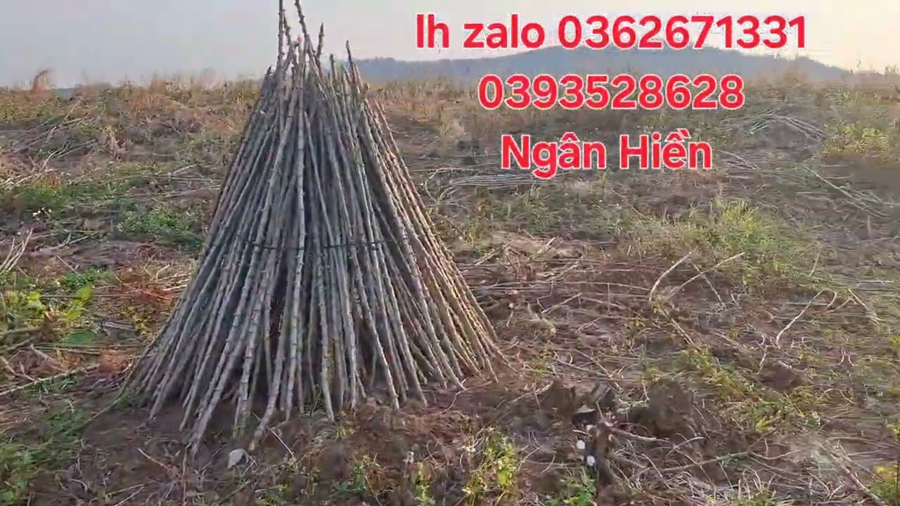 Nhượng 7,5ha đất đen đẹp ôm suối lớn nước quanh năm, đường 4m tới nơi giá 1,5ty có thương lượng 
