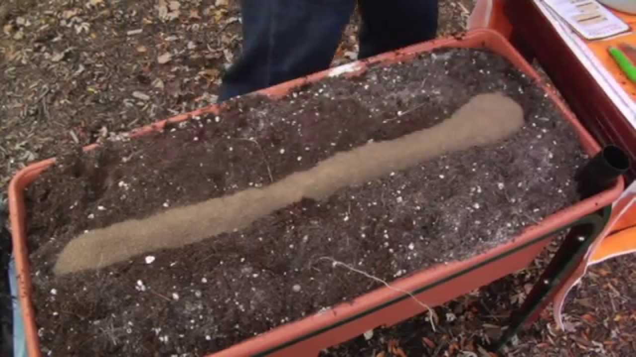 Replanting Your EarthBox