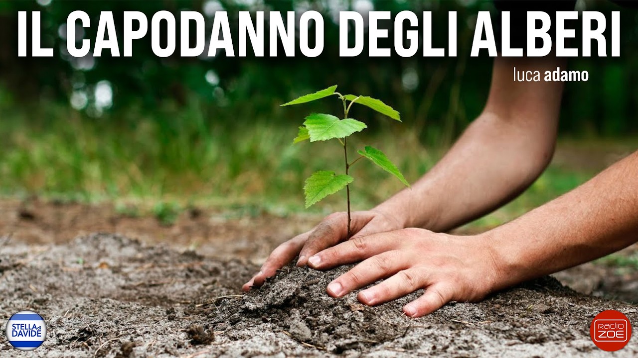 Il capodanno degli alberi