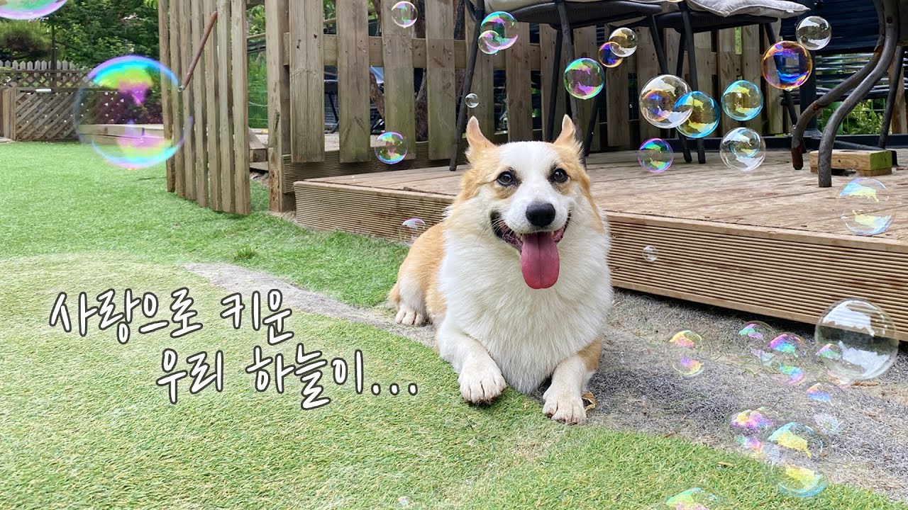가슴으로 낳아 사랑으로 키운 아이, 먼 곳으로 보내주었습니다...