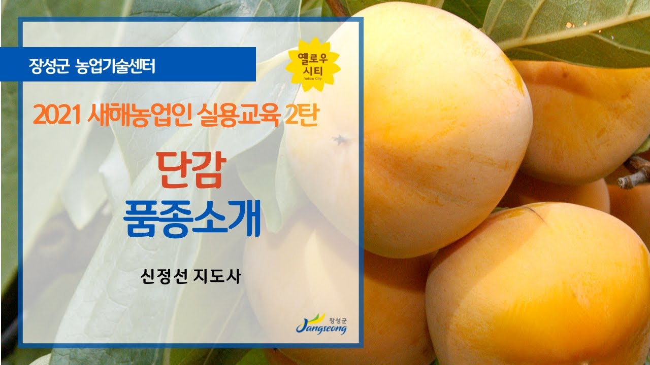 [2탄] 2021 장성군 온라인 새해농업인실용교육 (단감 품종 소개-신정선)
