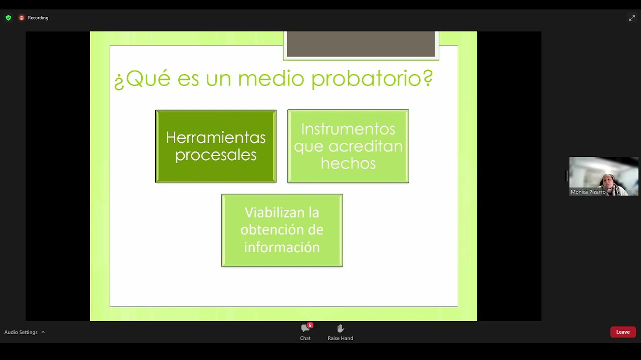 Actividad probatoria en el proceso laboral oral