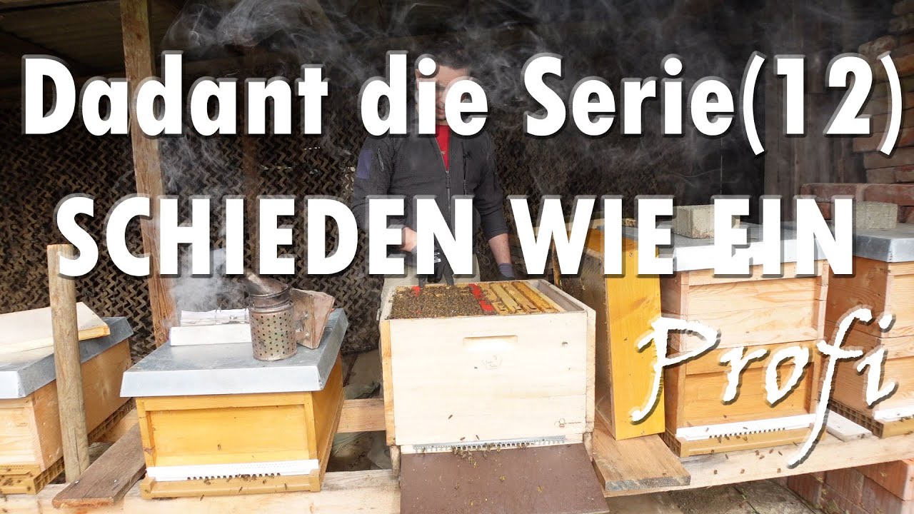 Dadant die Serie (12) SCHIEDEN wie ein Profi
