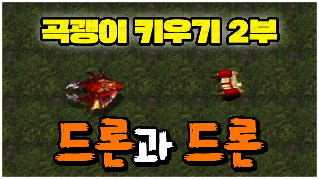 드론이 열렸어요! 최강의 곡괭이가 되기 위한 2일차 ㅋㅋ [ SCA 곡괭이 키우기 2부 ]