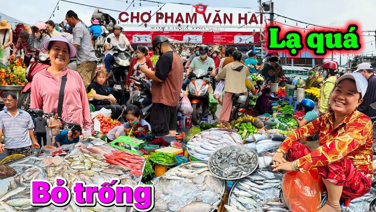 LẠ QUÁ sạp bỏ trống chợ Phạm Văn Hai quận Tân Bình, nhiều hải sản tôm cá gặp chị gái dễ thương