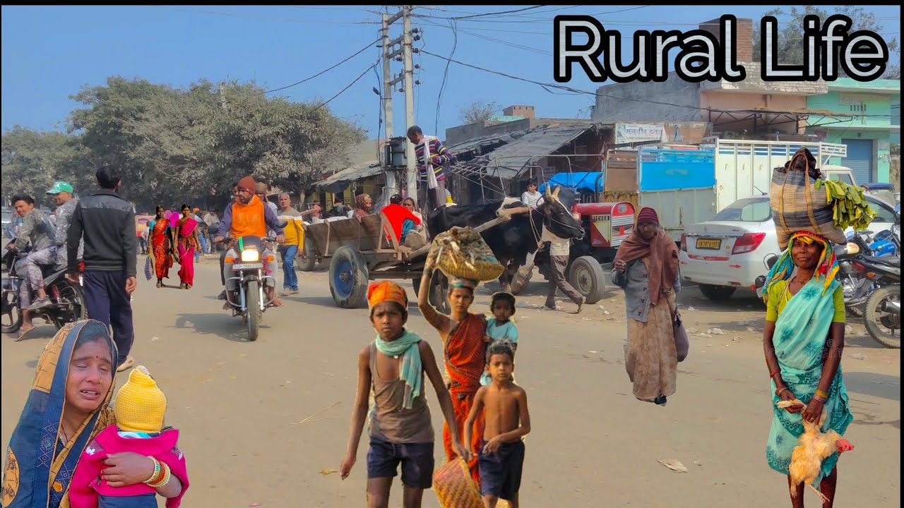 How People Life in India Village Real Life India in India village rural and village India Village 