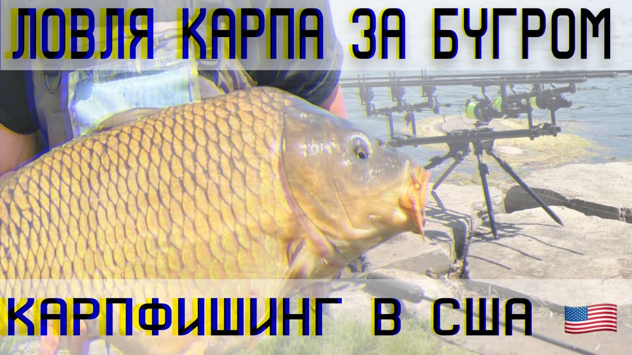 СУМАСШЕДШИЕ ДУПЛЕТЫ! ОГРОМНЫЕ РЫБЫ! КАРПФИШИНГ В США 🇺🇸