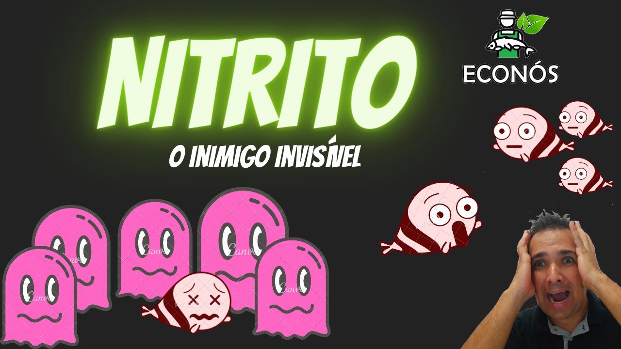 Nitrito o Inimigo invisível