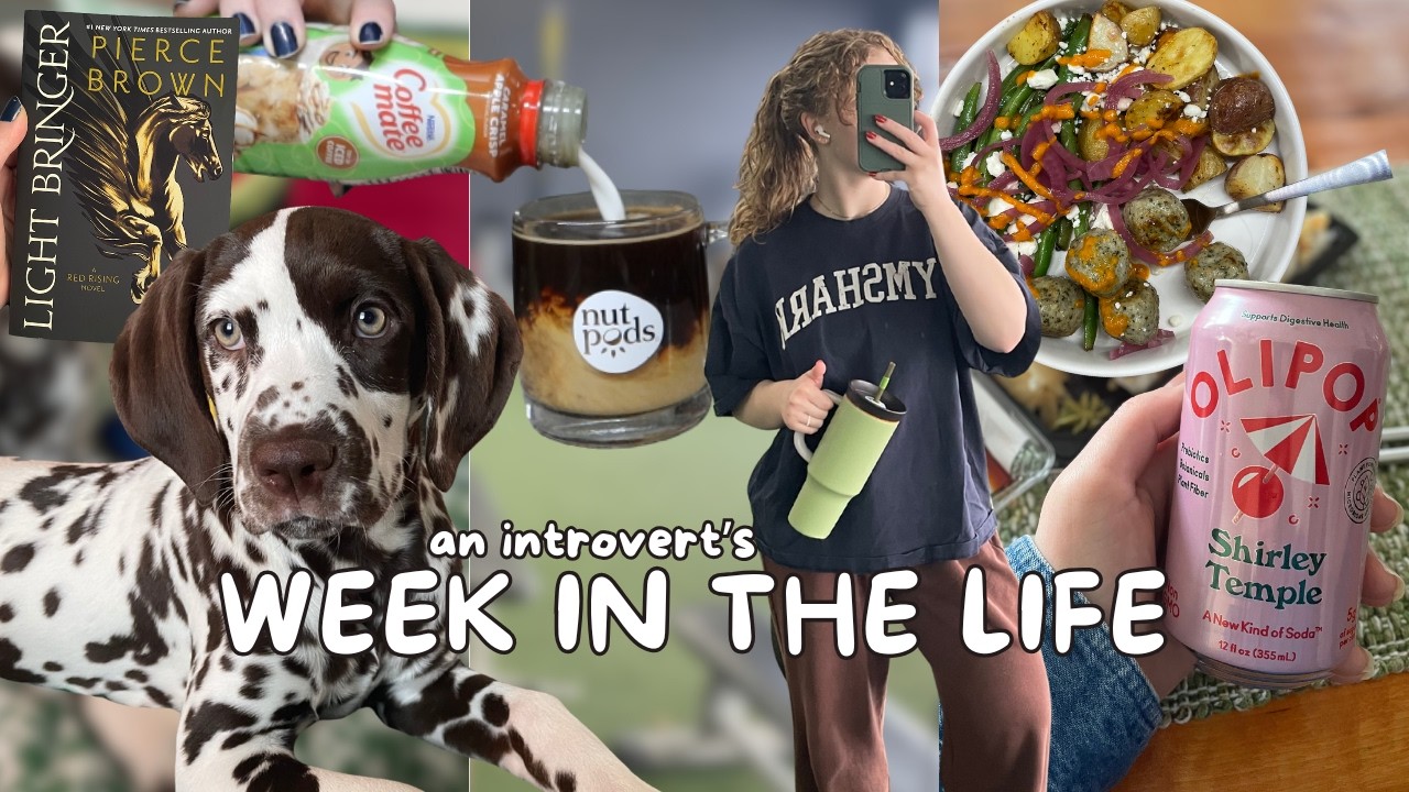 Неделя из моей жизни диетолога | Уютные дневники интроверта ☕🐶🌮📚