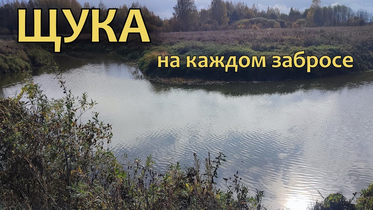 ЖОР ЩУКИ!!! Рыбалка в Переславле на лесной речке.