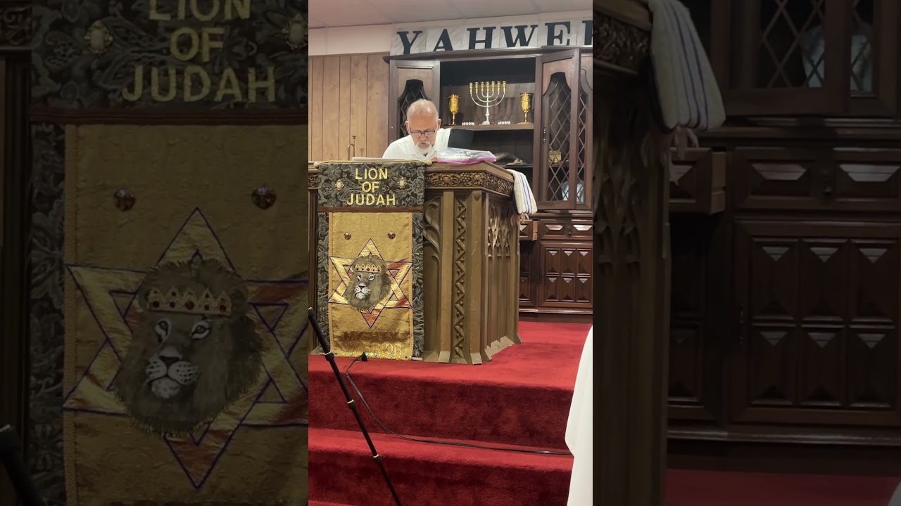 Mathew 24:29-31 #torah #torahcommunity #yahweh #messianicteaching
