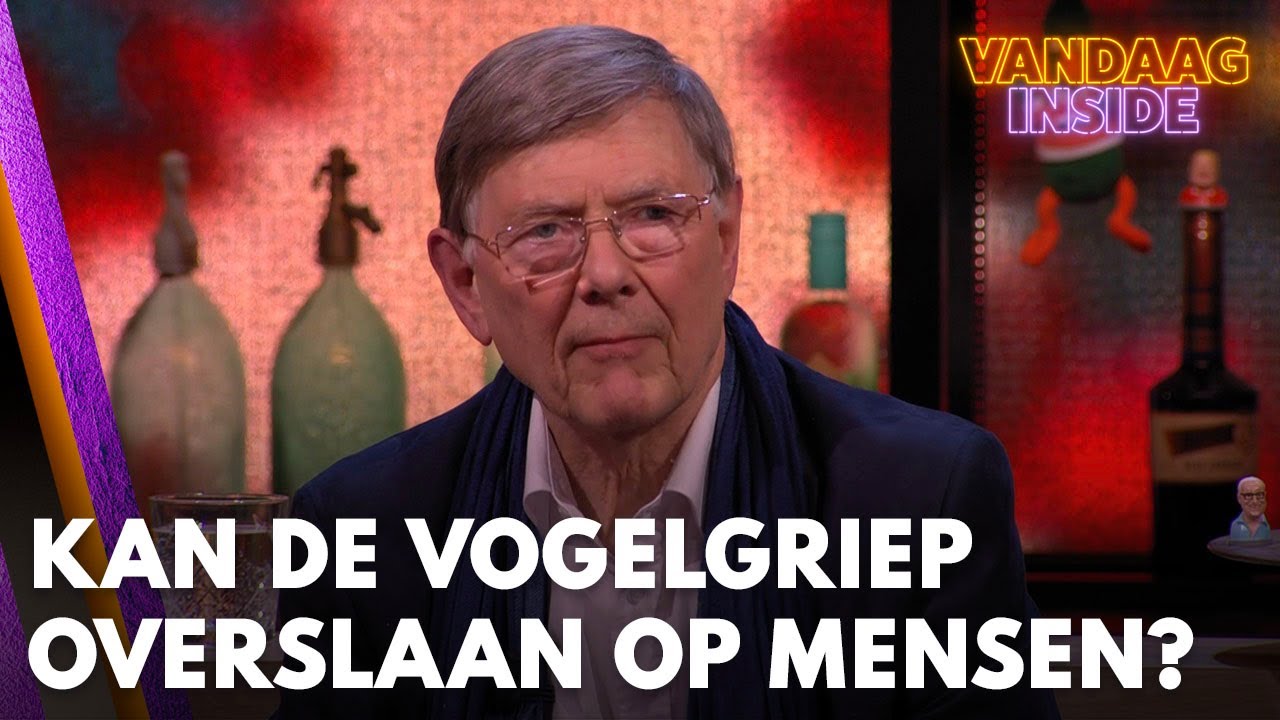 Hoe groot is de kans dat vogelgriep overslaat op mensen? | VANDAAG INSIDE
