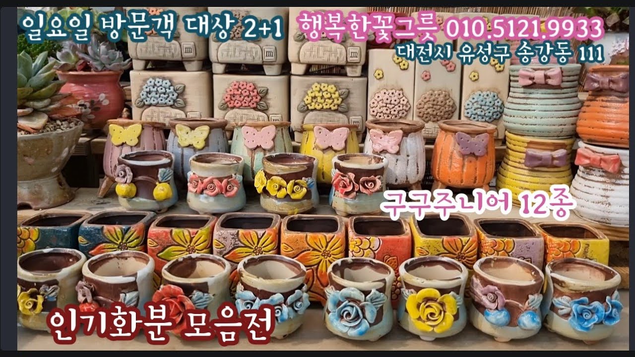 인기화분 모음전 💥 인기쟁이 콩분 구구주니어 12종💕 행복한꽃그릇 010.5121.9933