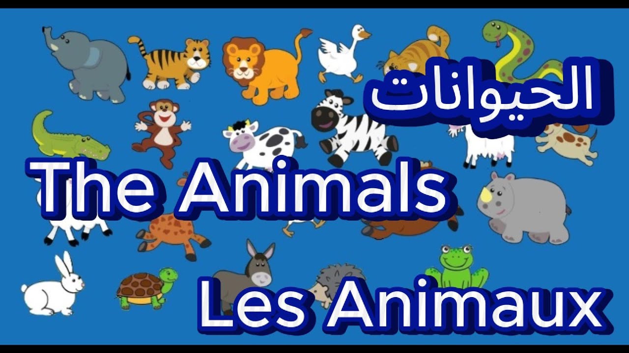 الحيوانات - The Animals - Les Animaux