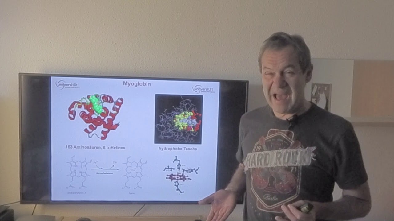 H&auml;moglobin