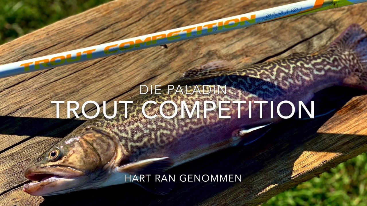Die Paladin Castalia Trout Competition hart ran genommen im Angelpark Schermbeck.