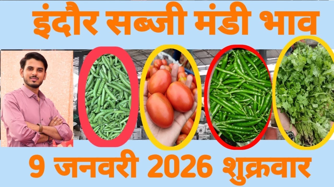9 January 2026 टमाटर और मिर्ची मे गिरावट 😢😢 इंदौर सब्जी मंडी // vegetable market indore mp // sabji 
