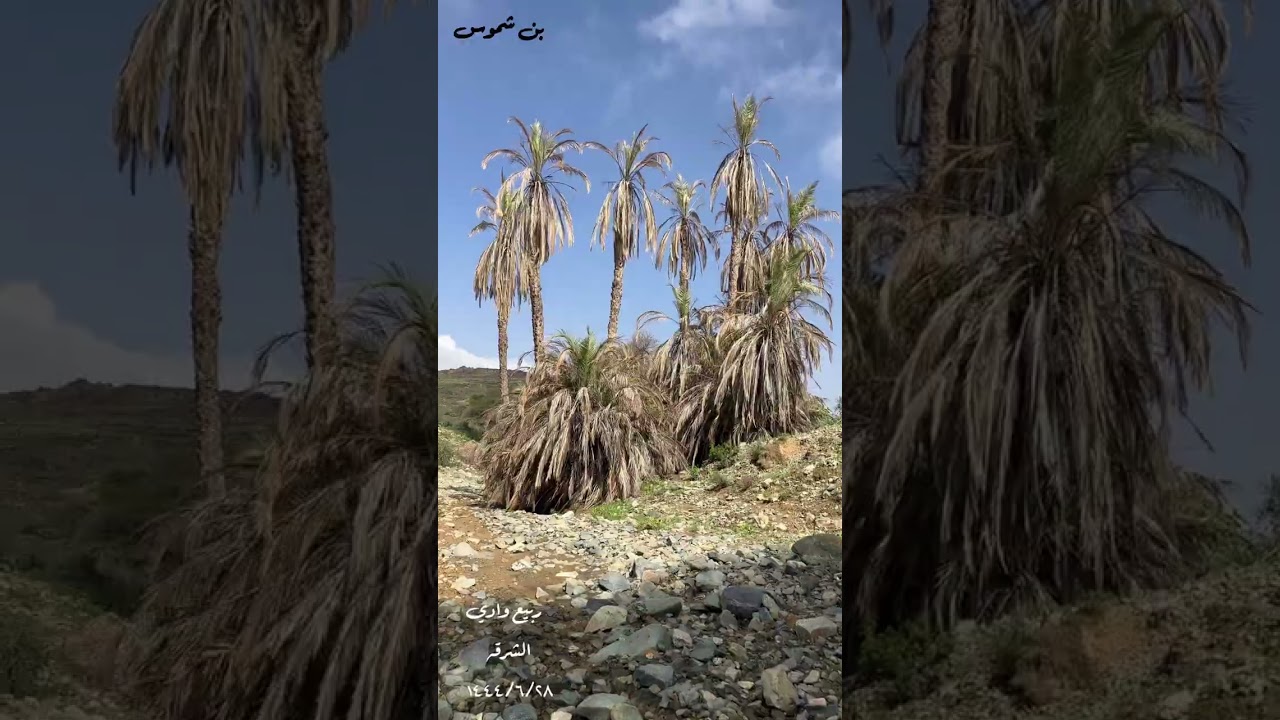ربيع وادي الشرقه ١٤٤٤هـ