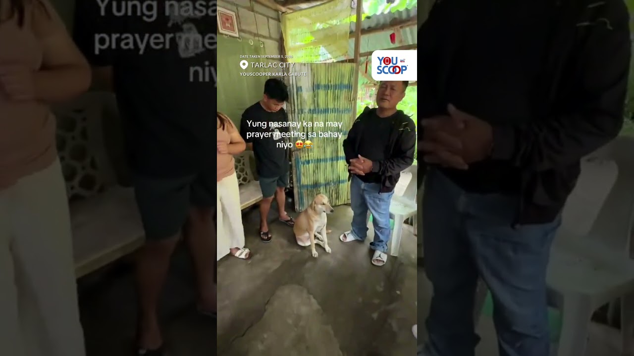 Aso sa Tarlac, regular attendee sa prayer meeting | YouScoop+