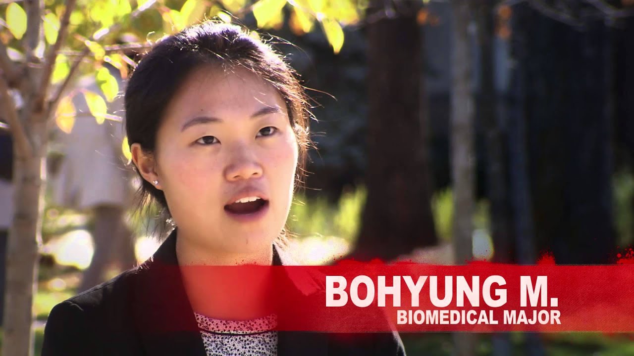 BHSc Global Health