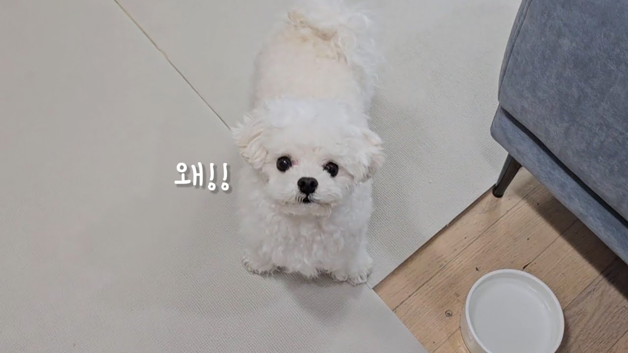 엄마 내꺼 왜 뺏어가