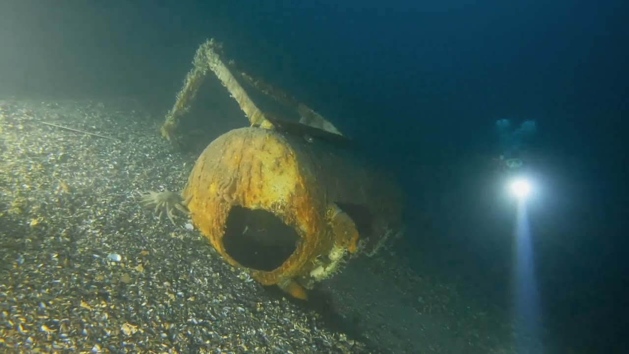 Just a Short Swim From Smitty's (Whittier, AK)