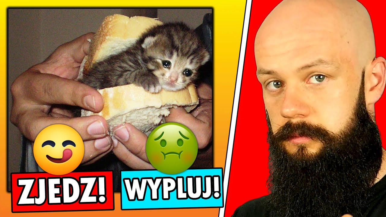 NAJLEPSZE MEMY Z KITKU PŁACZKU 4