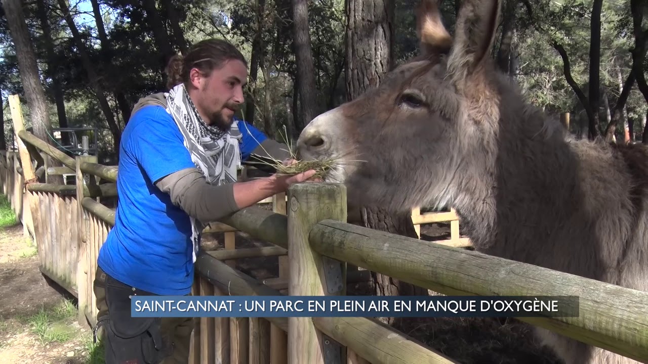 Saint-Cannat : Un parc en plein air en manque d’oxygène