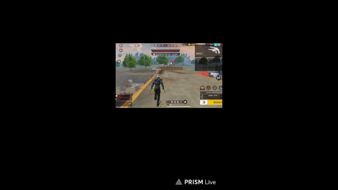 Live streaming of sb brother