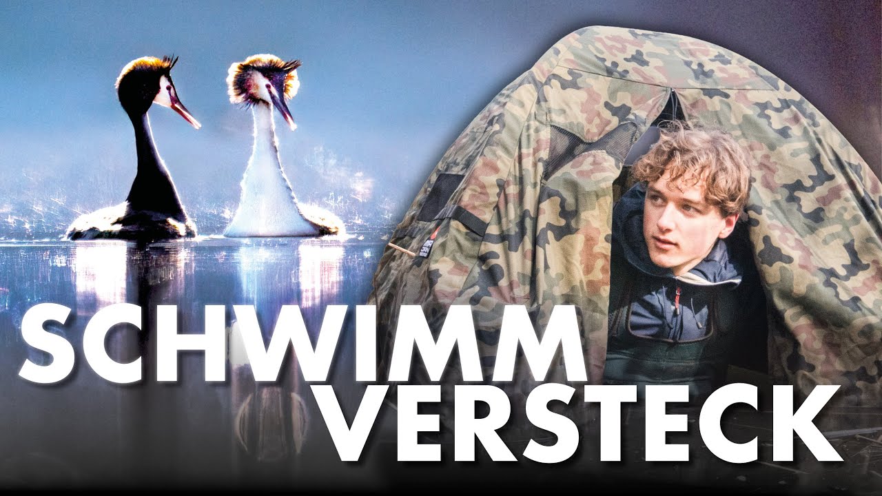 5 Stunden im eiskalten Wasser - Vogelfotografie im Floating Hide