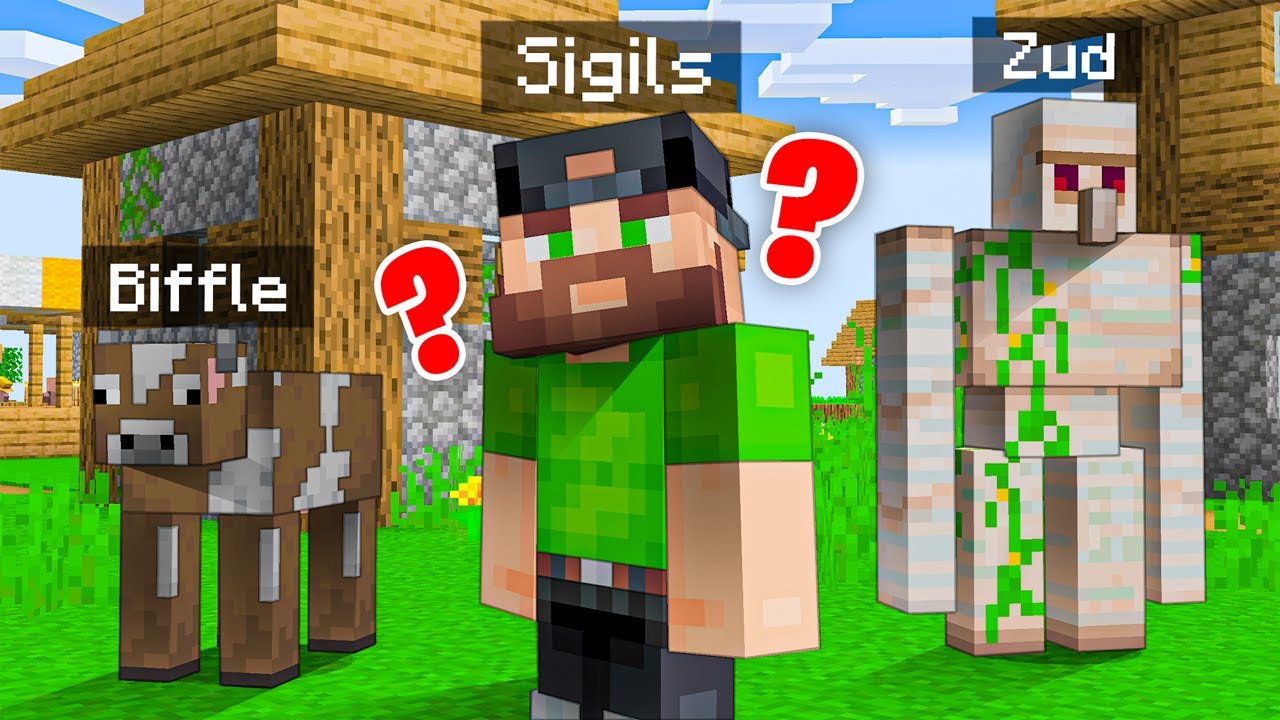 Minecraft HIDE and SEEK BUT WE'RE RANDOM Mobs