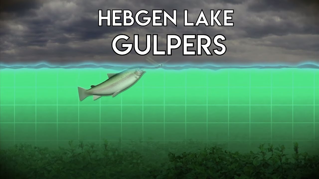 Montana Gulpers (Big Trout)