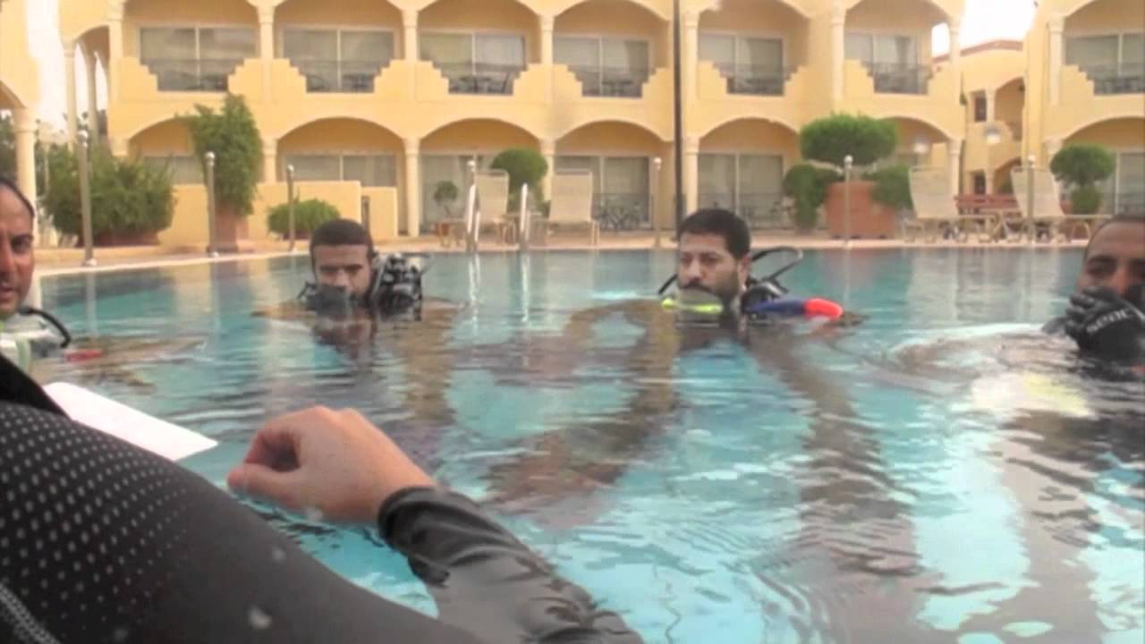 NATLUS DIVERS
