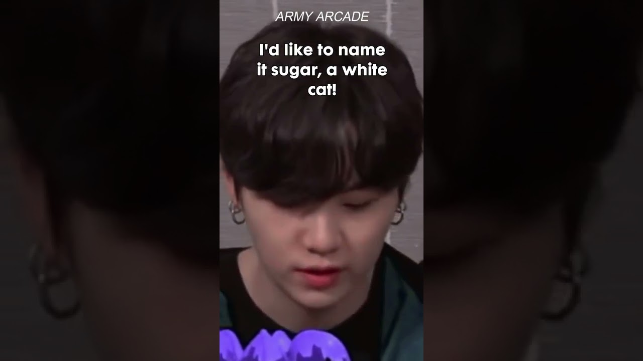 yoongi wants a cat and name it sugar 😭