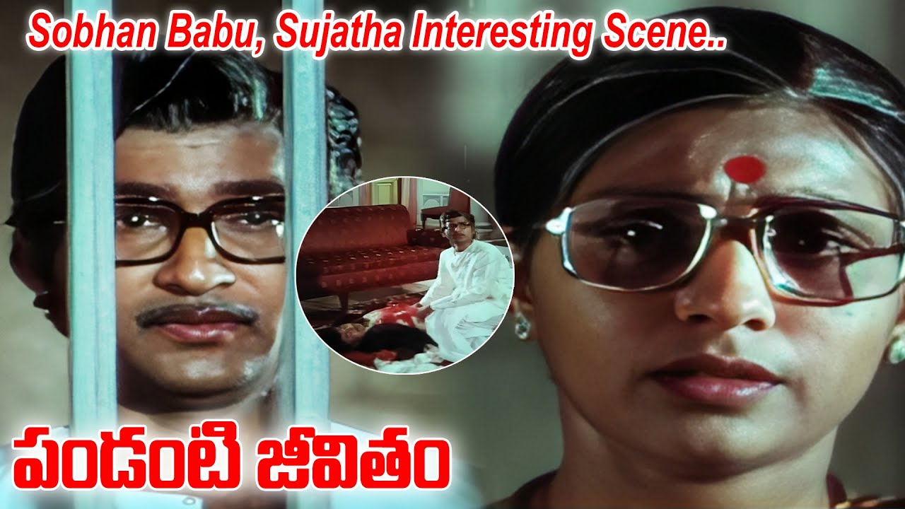 Sobhan Babu, Sujatha Interesting Scene | Pandanti Jeevitham | Sobhan Babu, Sujatha, Vijayashanti