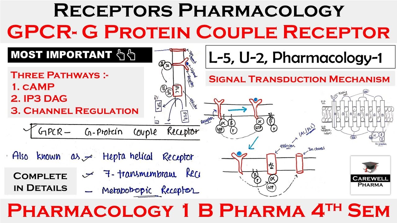 GPCR || G Protein Couple Receptors || cAMP, IP3-DAG, Channel || L-5 U-2 || Pharmacology 4th Semester
