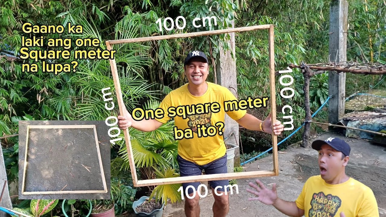 Gaano ka laki ang one square meter na lupa?