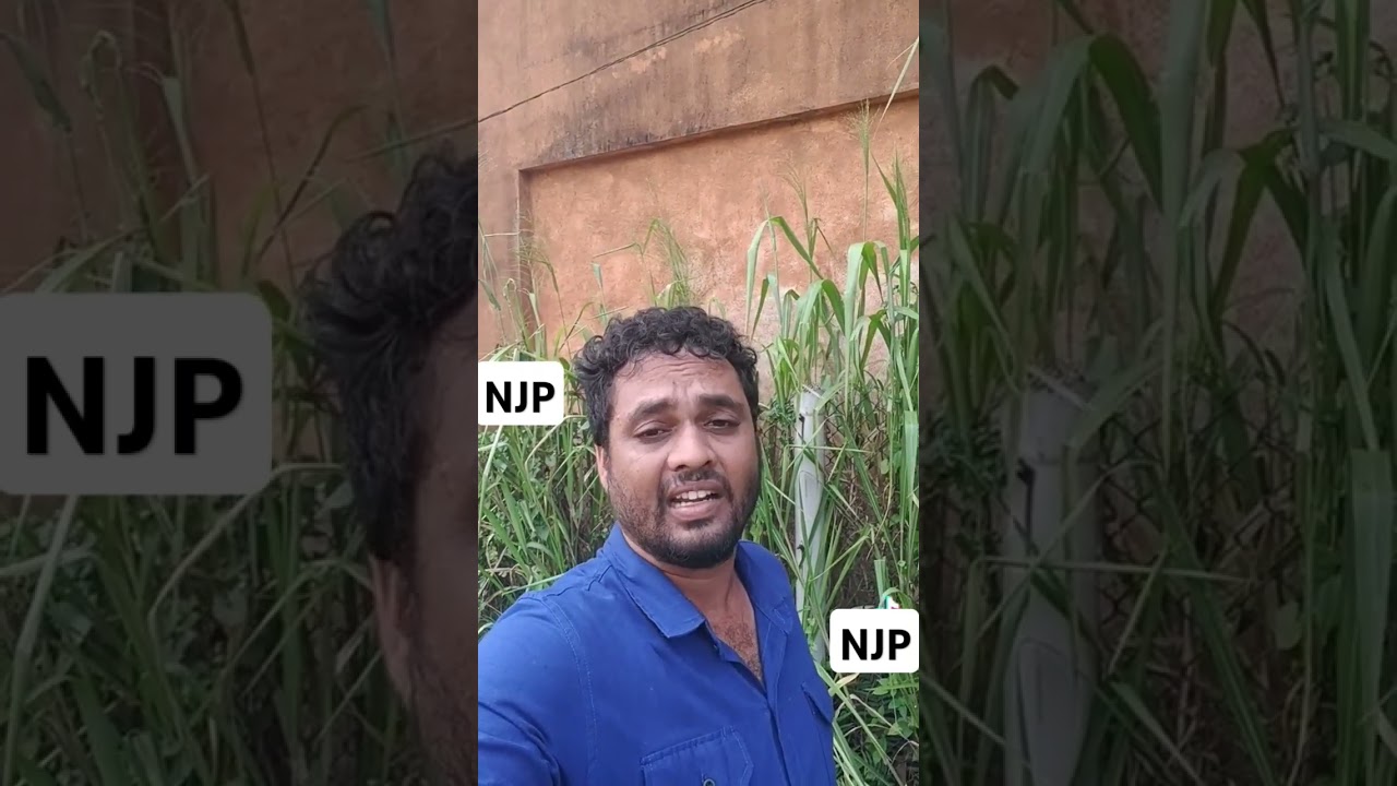 NJP#news #nnp