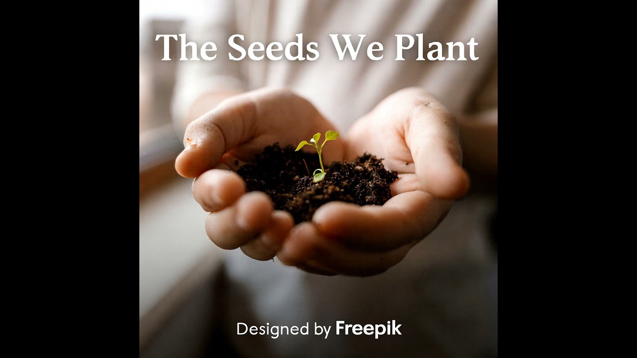 The Seeds We Plant Series: Relationship with Oneself Part 2