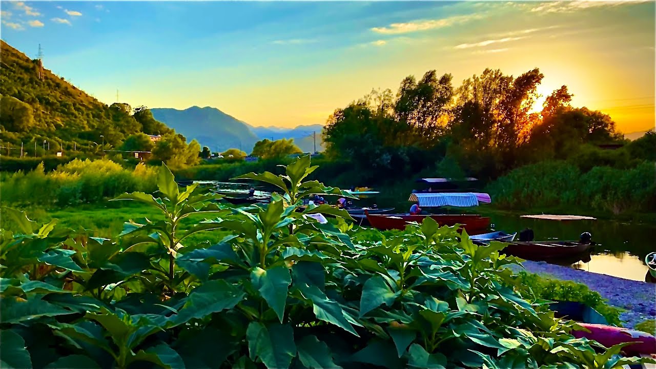 Lake Skadar Cruise, Besac / Golubovac / Vranjina Montenegro 4K
