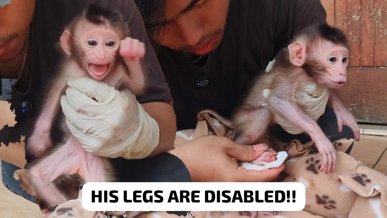 HIS FEET ARE ROTTING😭 THIS LITTLE BABY IS SUFFERING SO MUCH ‼️