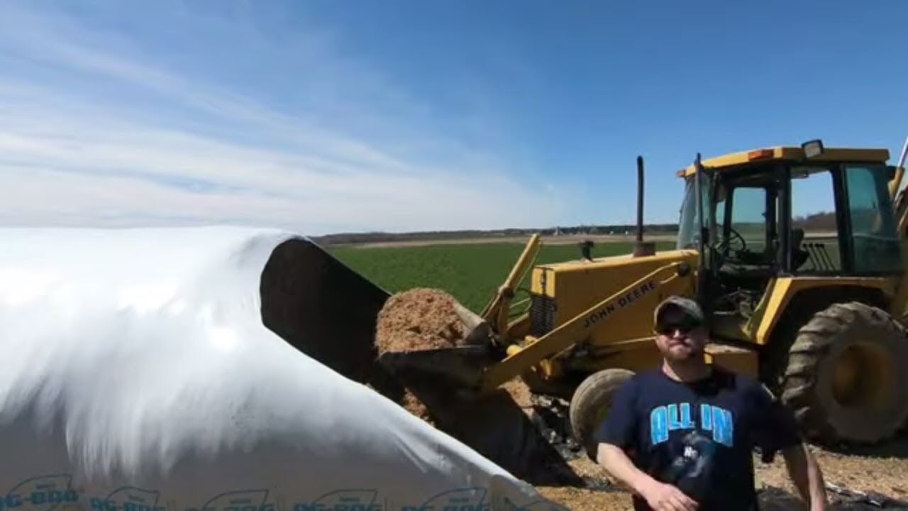Feeding Out of an Ag Bag-Cow Chow!